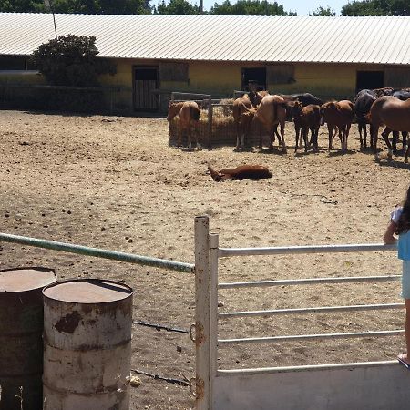 דירות עין זיוון פינה חמה ברמה מראה חיצוני תמונה