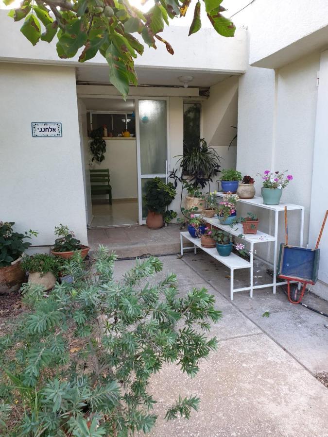 דירות עין זיוון פינה חמה ברמה מראה חיצוני תמונה