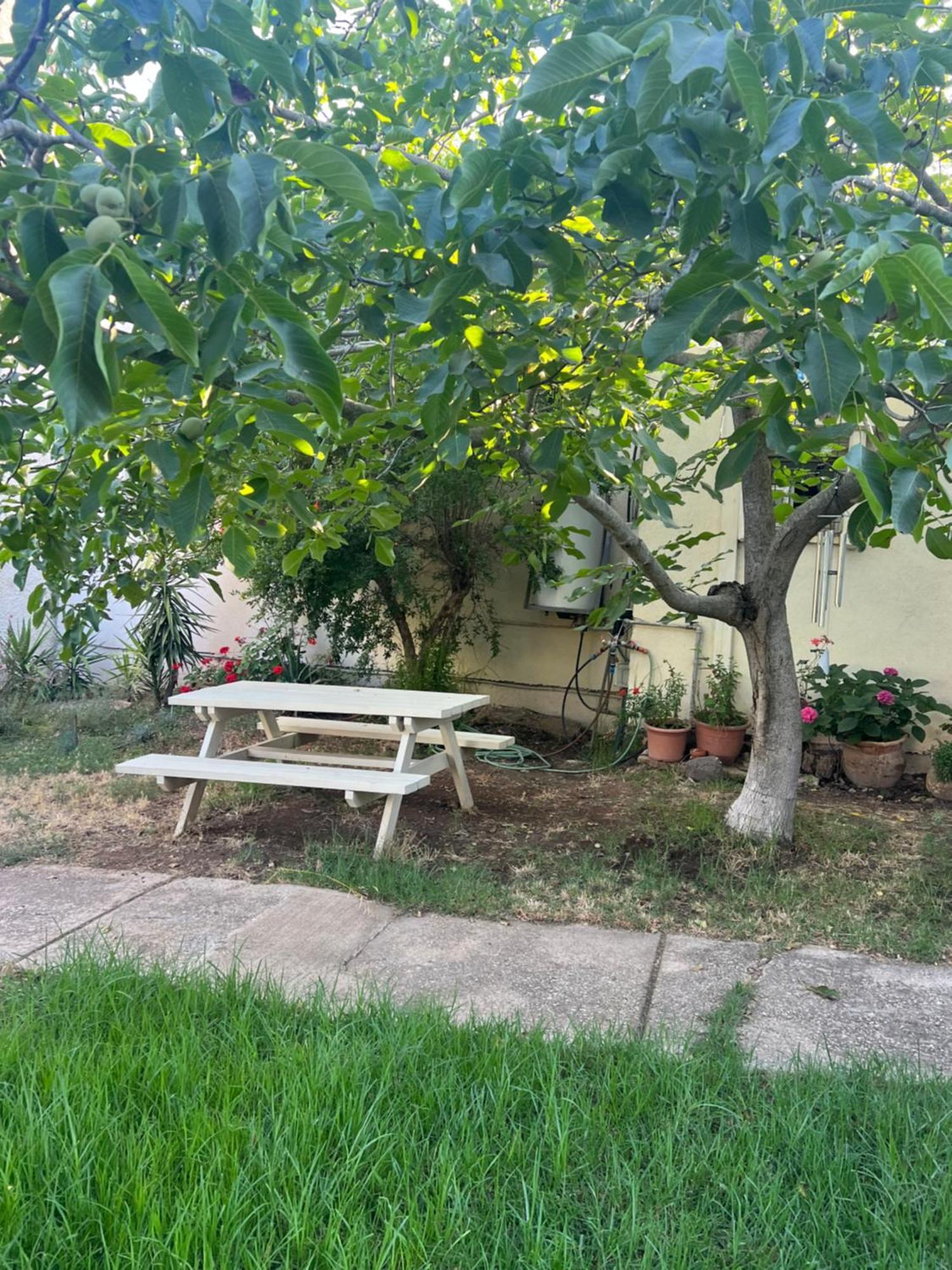 דירות עין זיוון פינה חמה ברמה מראה חיצוני תמונה